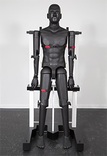 LD.COM-乐动（中国）
 全人体模型 POPEYE10